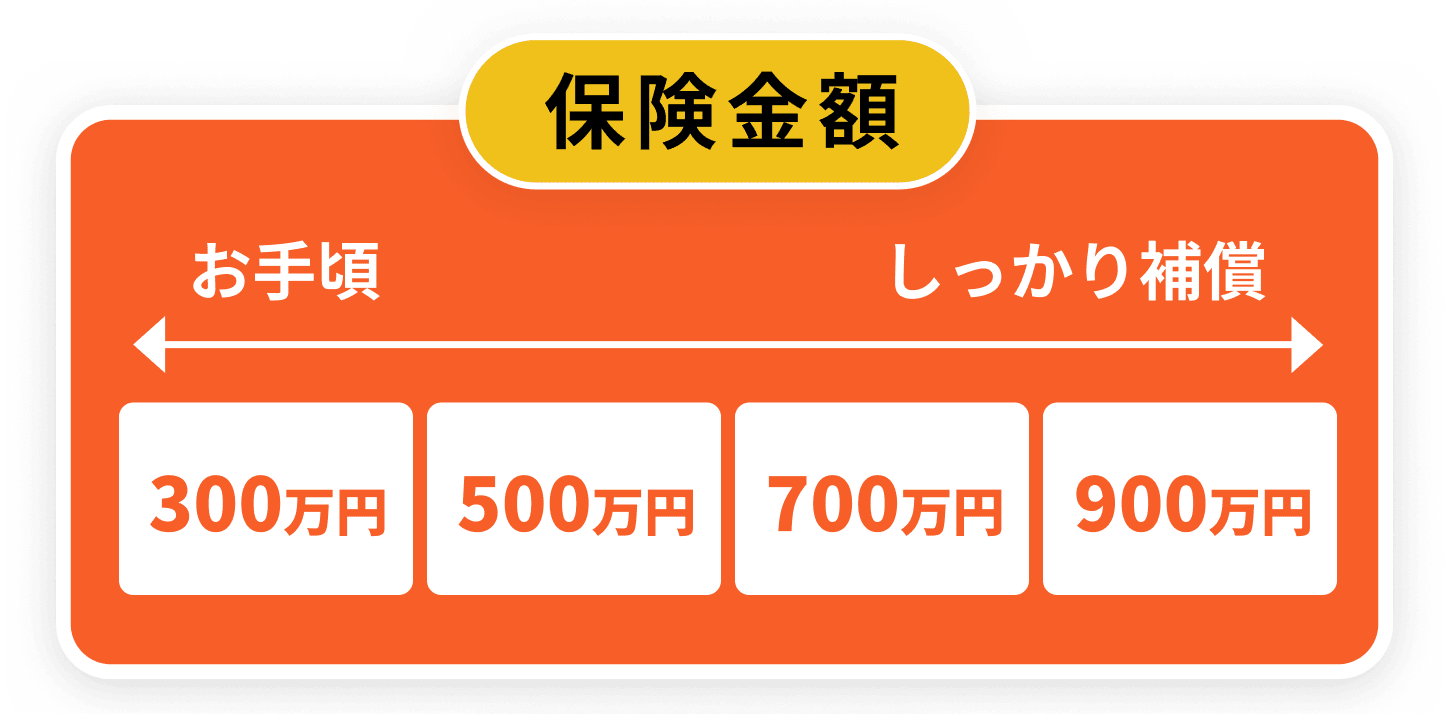 保険金額はお手頃な300万円からしっかり補償の900万円